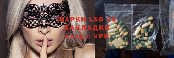 ГАЛЛЮЦИНОГЕННЫЕ ГРИБЫ Белоозёрский