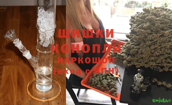 ГАЛЛЮЦИНОГЕННЫЕ ГРИБЫ Белоозёрский